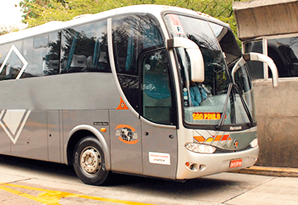 Vai viajar de ônibus e quer levar seu animal de estimação? Veja como proceder