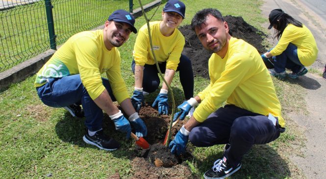 Sustentabilidade em foco: Dunlop Pneus reduz emissões de CO2 e aumenta reuso de água