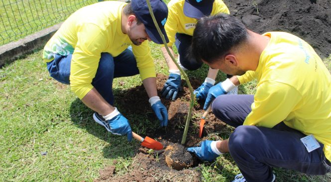 Dunlop Pneus engaja colaboradores com ações sustentáveis no mês de junho